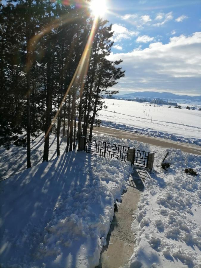 Diana * Zlatibor