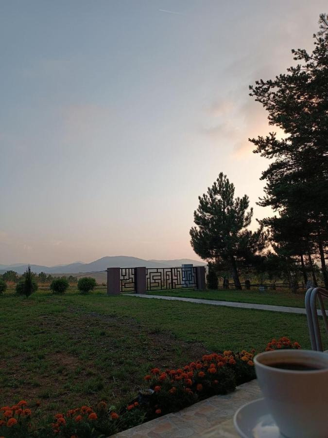 Diana Apartman *