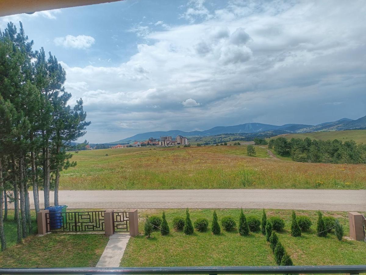 Diana * Zlatibor