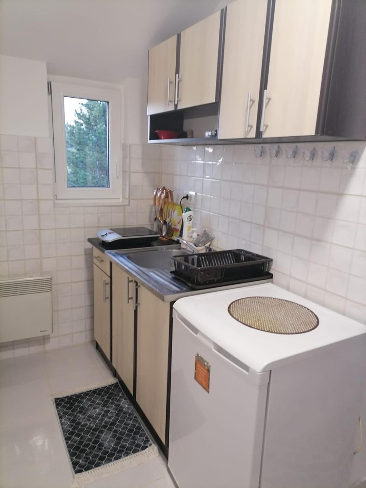 Apartment Diana Zlatibor